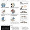 Меры предосторожности при гололеде