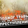 О запрете выжигания сухой травы
